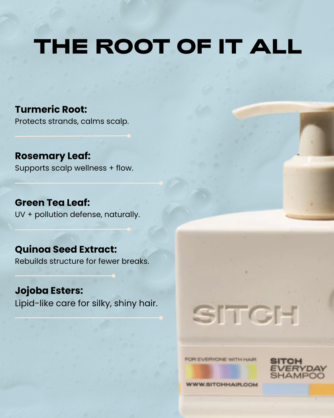 EVERYDAY SHAMPOO| Step 1 - Cleanse